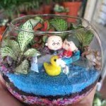 Terrarium Bách Niên Giai Lão