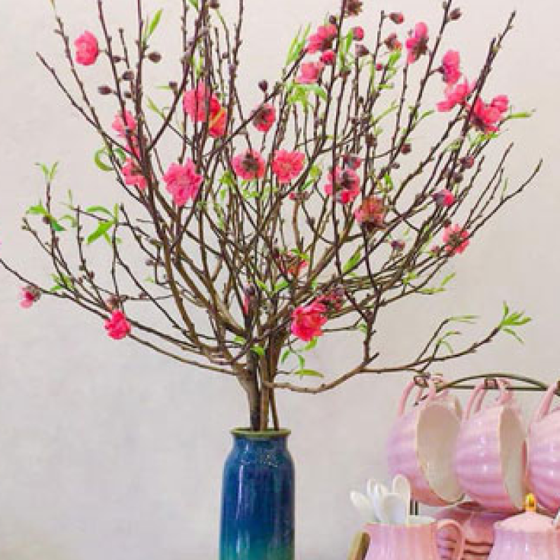 Cành đào nhỏ